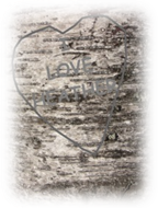 A part of the trunk of a Birch tree which has had a heart shape cut into it. In the centre od the heart is cut I Love Heather