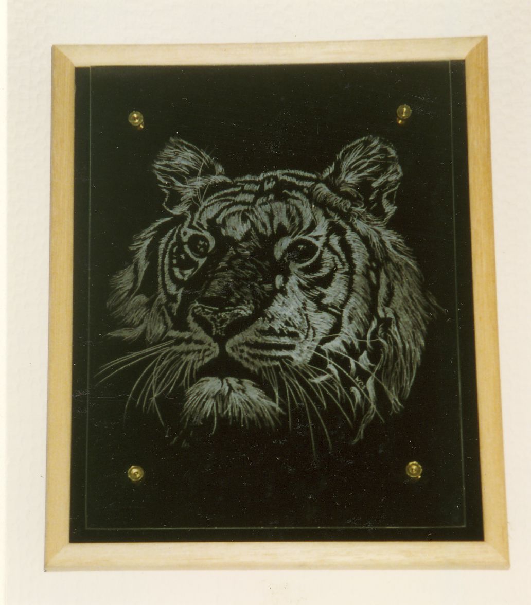 A Hand engraved tiger on a piece flat glass and mounted above a black velvet background.