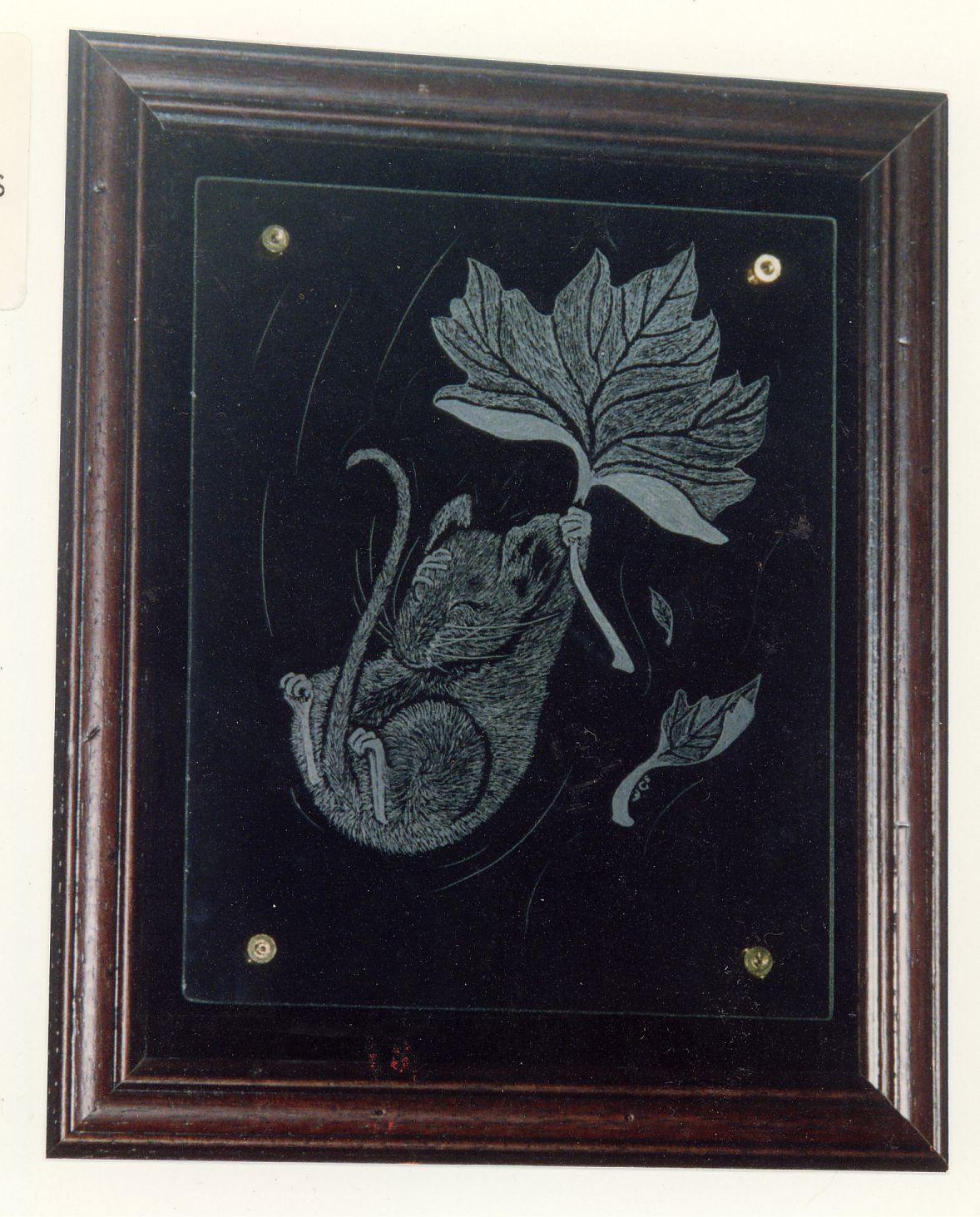 Probably my most favourite engraving. A mouse clinging to a maple leaf as it falls from a tree. The mouse is covering one eye and clinging for dear life to the maple leaf as if it were a parachute.