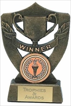 A full range of Trophies and Engraving is available from WCS Engraving. Just call 01 294 273 948 to order